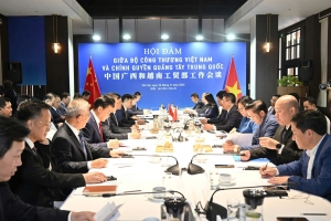 Trong hội đàm, hai nhà lãnh đạo đã trao đổi, thảo luận nhiều định hướng, giải pháp để thúc đẩy quan hệ hợp tác giữa Việt Nam với tỉnh Quảng Tây, Trung Quốc.